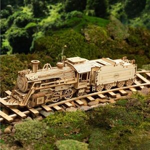 ROKR Prime Steam Express MC501